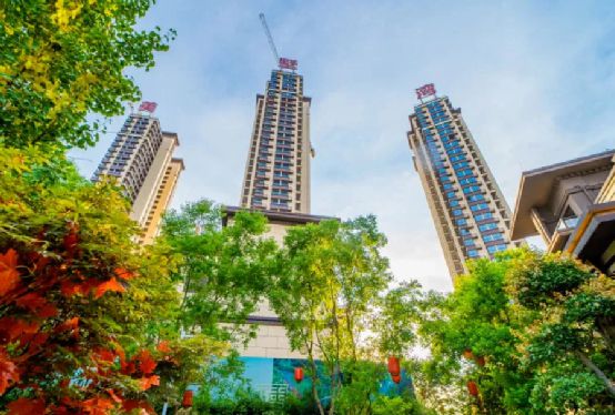 金鐘集團榮膺“中國房地產開發企業綜合實力TOP500”殊榮，彰顯行業領先地位